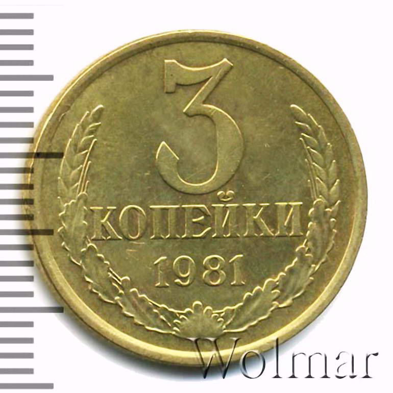 3 копейки 1981, перепутка